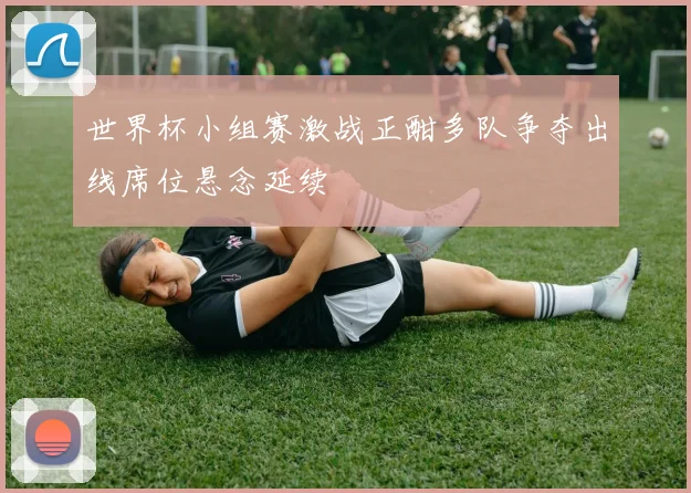 世界杯小组赛激战正酣多队争夺出线席位悬念延续