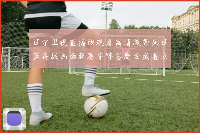 辽宁卫视直播线观看高清版带来辽篮备战画面新赛季阵容磨合成看点