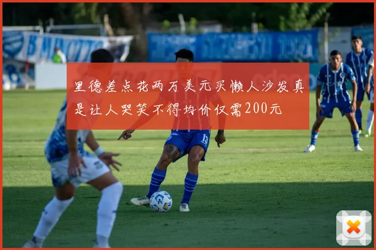 里德差点花两万美元买懒人沙发真是让人哭笑不得均价仅需200元