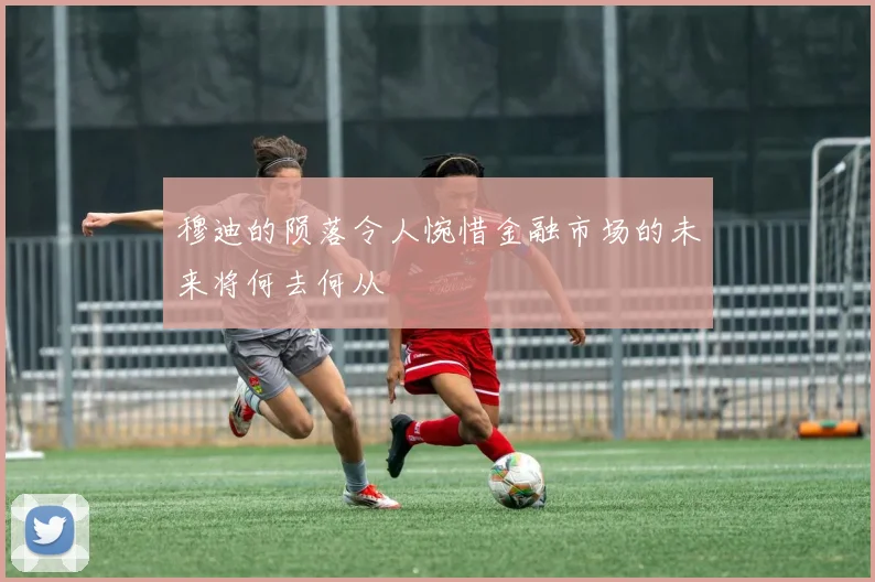穆迪的陨落令人惋惜金融市场的未来将何去何从
