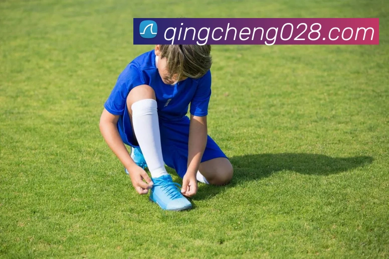 九游体育官网登录入口APP 封面图